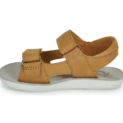 New Shoo Pom - GOA BOY SCRATCH CAMEL