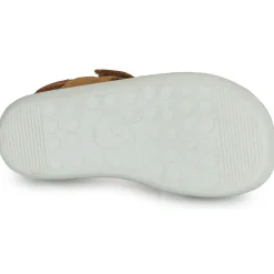 New Shoo Pom - GOA BOY SCRATCH CAMEL