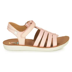 Shoo Pom - GOA SPART Rose Online