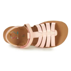 Shoo Pom - GOA SPART Rose Online