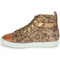 Shoo Pom - PLAY NEW JODLACE Online