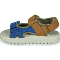 Hot Shoo Pom - ROLLY BOY SCRATCH