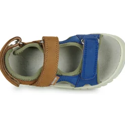 Shoo Pom - ROLLY BOY SCRATCH