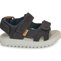 Shoo Pom - ROLLY BOY SCRATCH