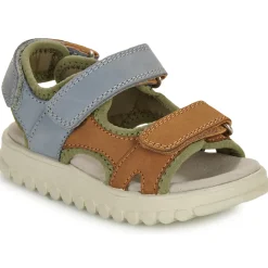 Shoo Pom - ROLLY BOY SCRATCH