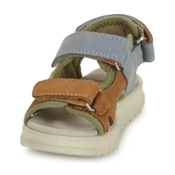 Shoo Pom - ROLLY BOY SCRATCH