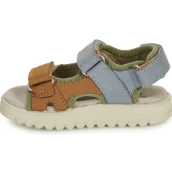 Shoo Pom - ROLLY BOY SCRATCH