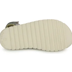 Shoo Pom - ROLLY BOY SCRATCH