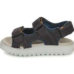 Clearance Shoo Pom - ROLLY BOY SCRATCH Marine