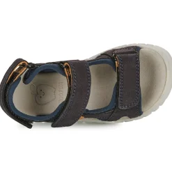 Clearance Shoo Pom - ROLLY BOY SCRATCH Marine