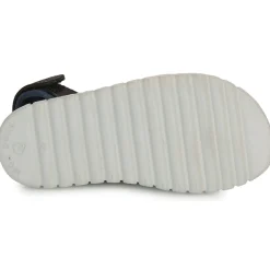 Clearance Shoo Pom - ROLLY BOY SCRATCH Marine