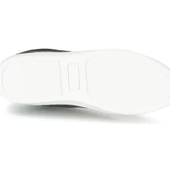 Sixth June - NATION WIRE