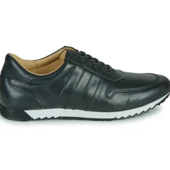 New So Size - FELIX Noir