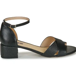 Online So Size - MAELA Black