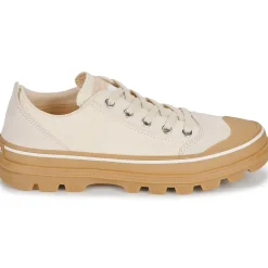 New Sorel - SCOUT N ABOUT LOW SNEAKER Beige