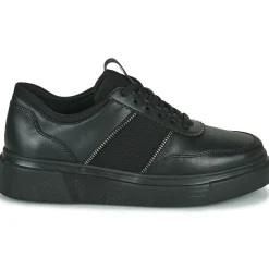 Stonefly - ALLEGRA 8