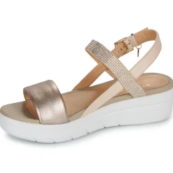 Stonefly - AQUA III 22