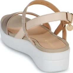 Stonefly - AQUA III 22