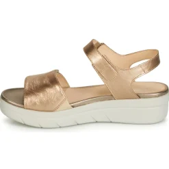 Stonefly - AQUA III 2 LAMINATED Doré Best