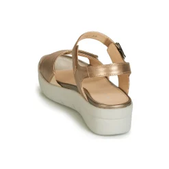 Stonefly - AQUA III 2 LAMINATED Doré Best