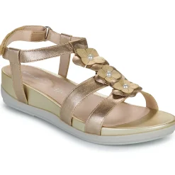 Clearance Stonefly - EVE 21 Doré