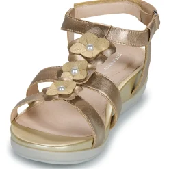 Clearance Stonefly - EVE 21 Doré