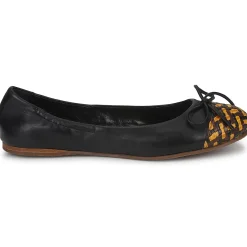 Stéphane Kelian - WALLY