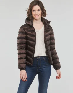 Superdry - HOODED FUJI PADDED JACKET Marron Best