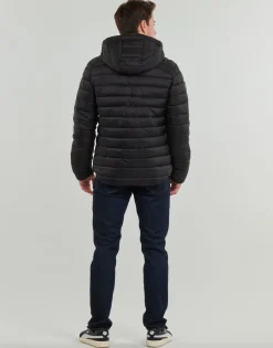 Superdry - HOODED FUJI SPORT PADDED