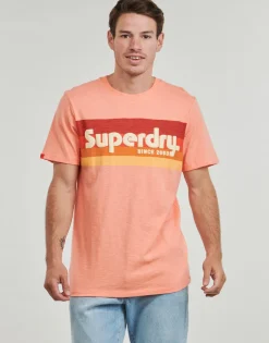 Superdry - LOGO TERRAIN