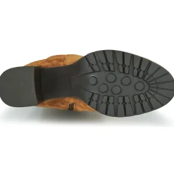 New Sweet Lemon - DOLY Camel