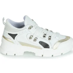 Sweet Lemon - ELISA Blanc