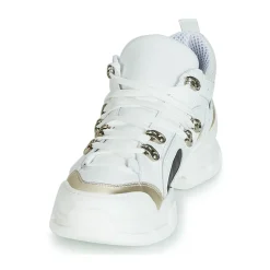 Sweet Lemon - ELISA Blanc