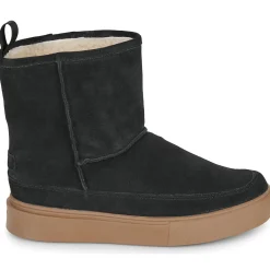 Sweet Lemon - NILOX Noir Best