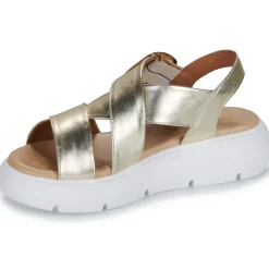 Best Sweet Lemon - NOBU Doré