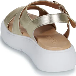 Best Sweet Lemon - NOBU Doré