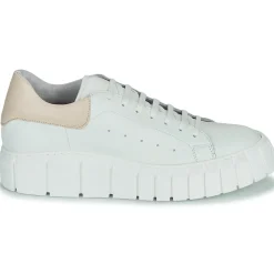 Discount Sweet Lemon - PLANTO