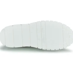 Discount Sweet Lemon - PLANTO