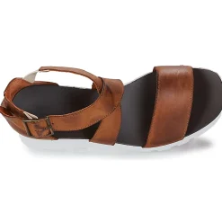 Clearance Sweet Lemon - SUBWAY Marron