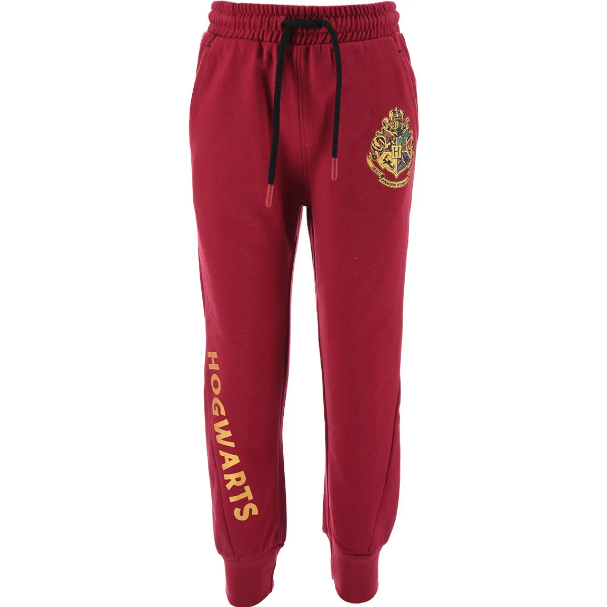 Outlet TEAM HEROES - JOGGING HARRY POTTER Violet