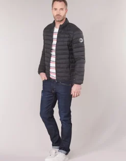 Hot Teddy Smith - BLIGHT Noir