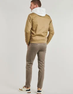 Hot Teddy Smith - SANSON 2 Beige