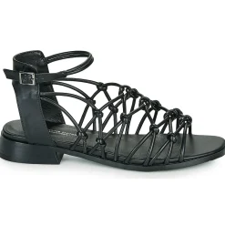 The Divine Factory - LS1793H