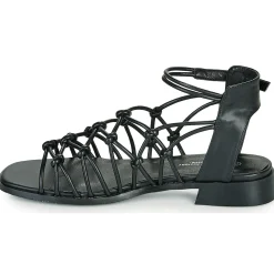 The Divine Factory - LS1793H