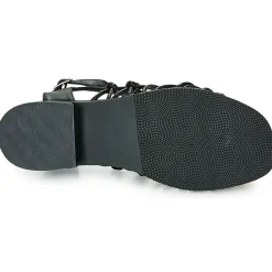 The Divine Factory - LS1793H