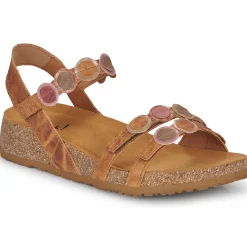 Outlet Think - KOAK Camel