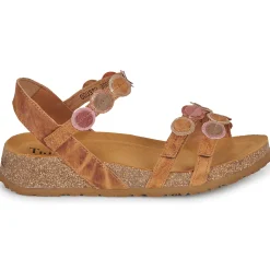 Outlet Think - KOAK Camel