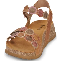 Outlet Think - KOAK Camel