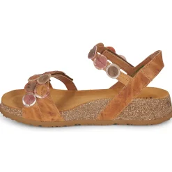 Outlet Think - KOAK Camel