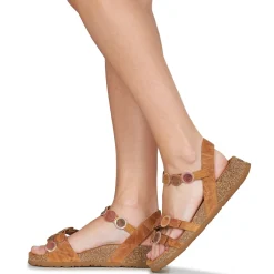 Outlet Think - KOAK Camel